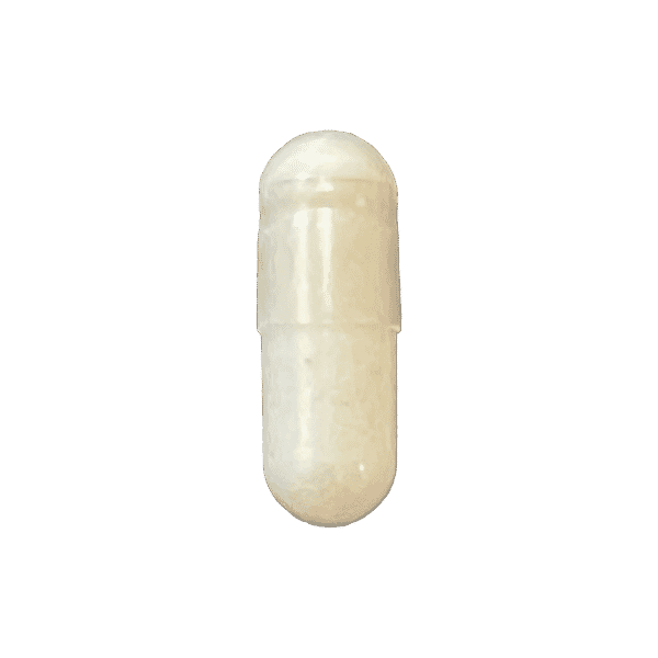 Custom Precision Packs: Built for Your Biology